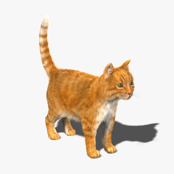 3d model cat orange tabby fur 3d model cat orange tabby fur