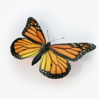 butterfly 3d models