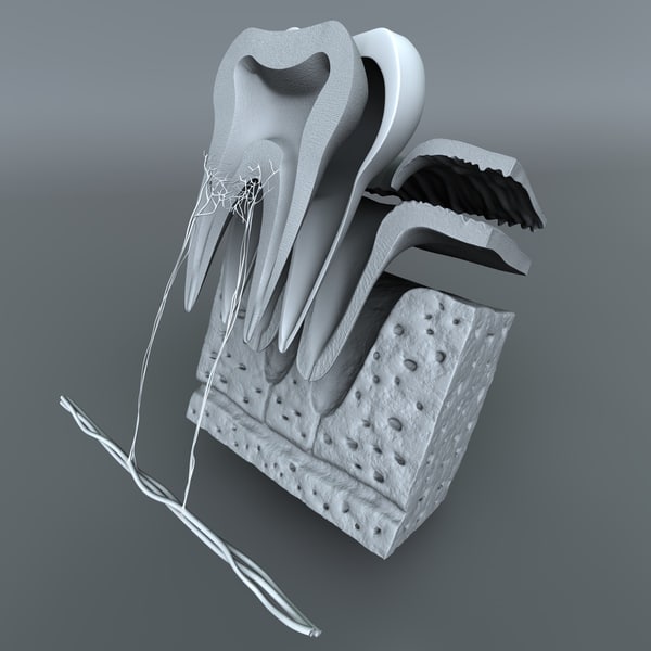 [DIAGRAM] Nintendo 3ds Diagram