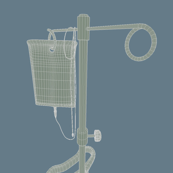 3dsmax iv bag pole