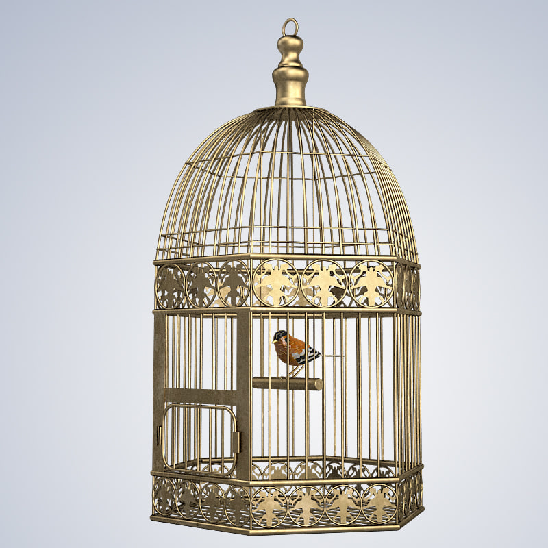 bird cage 3d model