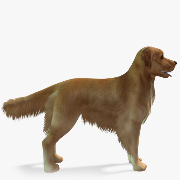 games dog en retriever obj