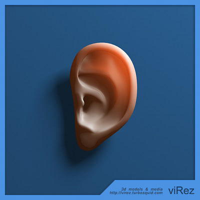 3d human ear model