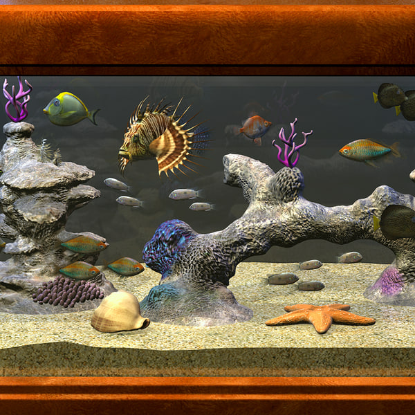 aquarium fish starfish 3ds