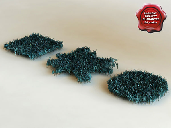 3d model bush shrub Juniperus Horizontalis Blue Chip stock purchase buy 3d_molier