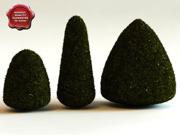 3d model Plant bush shrub Thuja Occidentalis Elegantissima stock purchase buy 3d_molier
