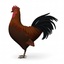 cock_render.jpg71d2e34f-efd8-4205-9361-d3a846d2536aSmall.jpg