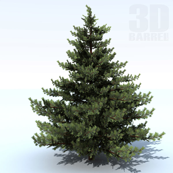 pine tree 3d model pine tree 3d model