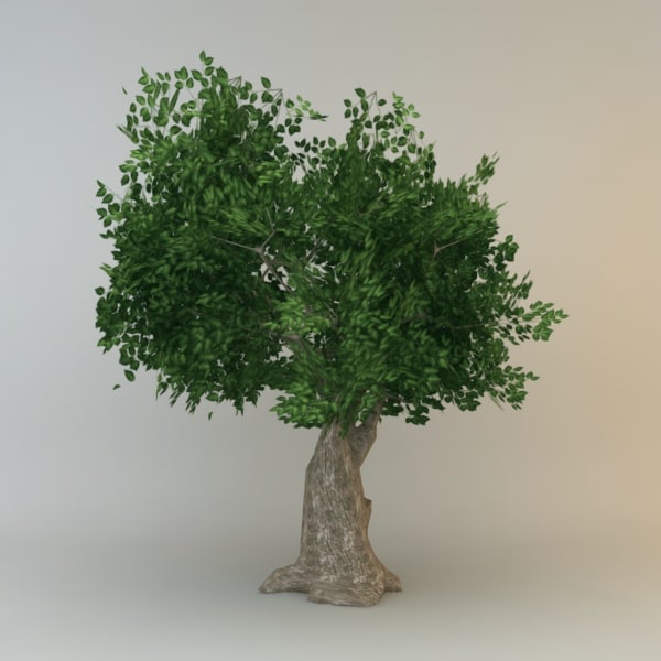 tree model free 3d tree 07 model tree model free 3d tree 07 model