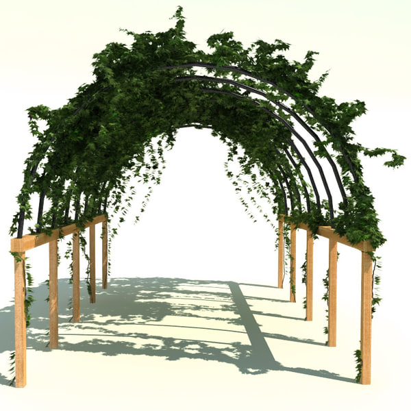 c4d pergola path ivy v2