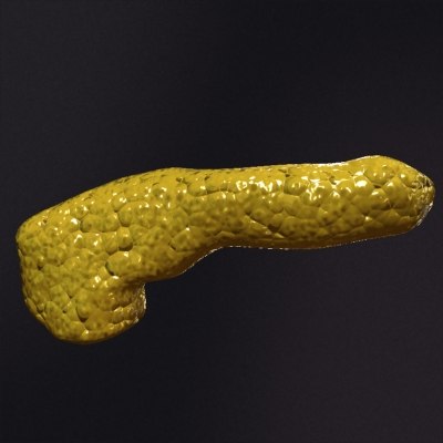 3d realistic pancreas