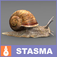 Snail