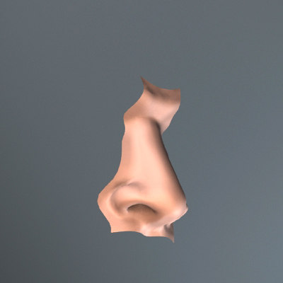 pug nose human nose human 3d model pug nose human nose human 3d model