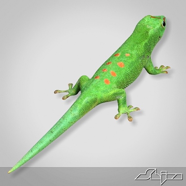 gecko lizard 3d model