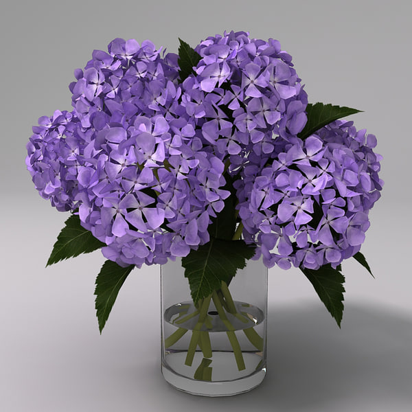 maya contemporary flower