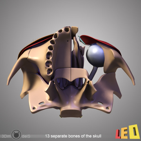 3d anatomy eye model