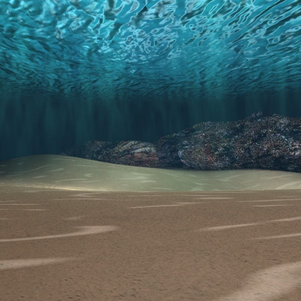 c4d underwater scene caustic