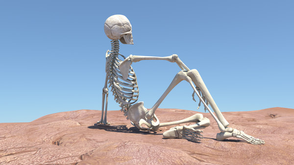 3d model skeleton bone fully rig