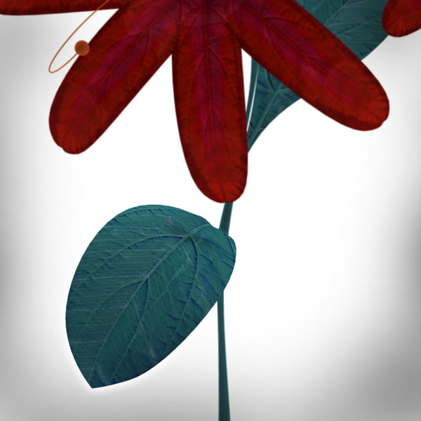 maya cluster growing flowers