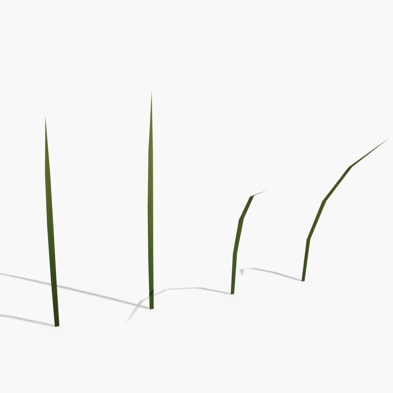 max grass strands