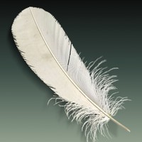 Feather