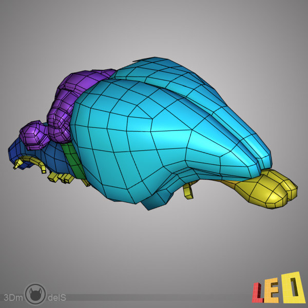 rabbit anatomy 3d model - Rabbit Anatomy... by leo3Dmodels