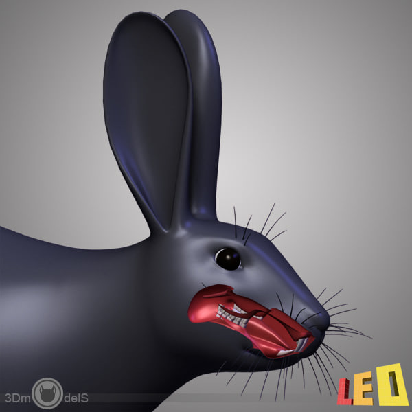rabbit anatomy 3d model - Rabbit Anatomy... by leo3Dmodels