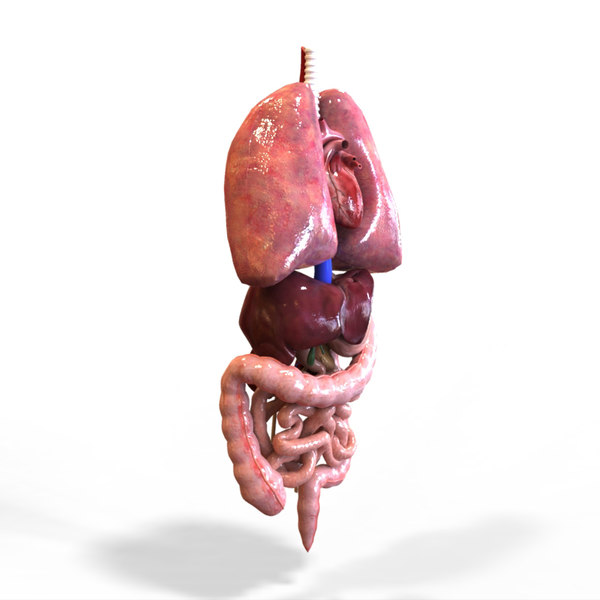 Third gender organ photo Third gender organ photo