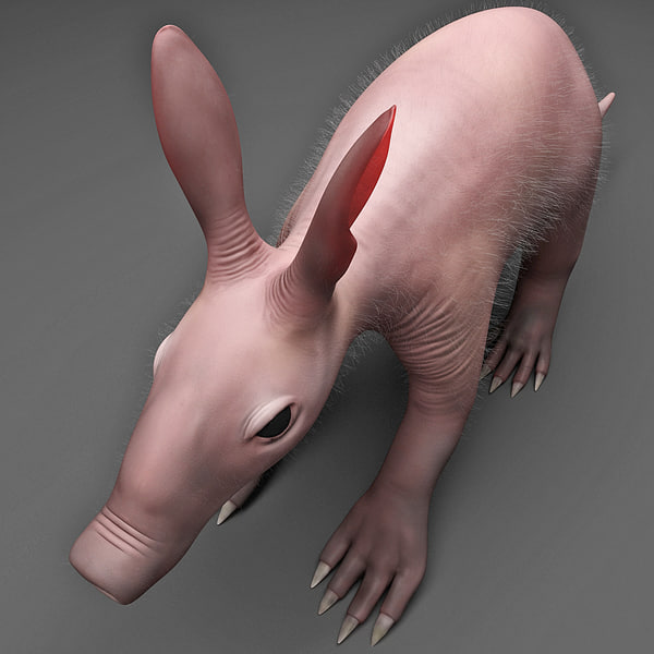 3dsmax baby aardvark