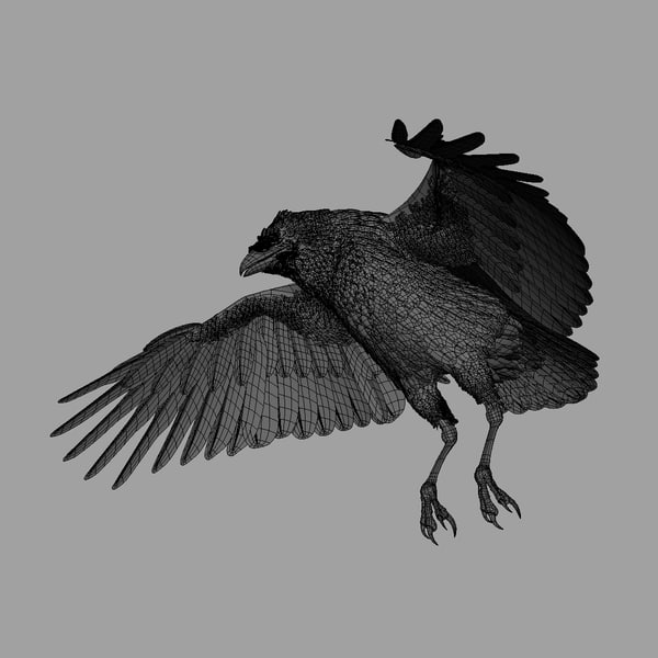 realistic raven 3d model