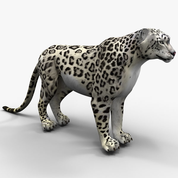 snow leopard 3d model