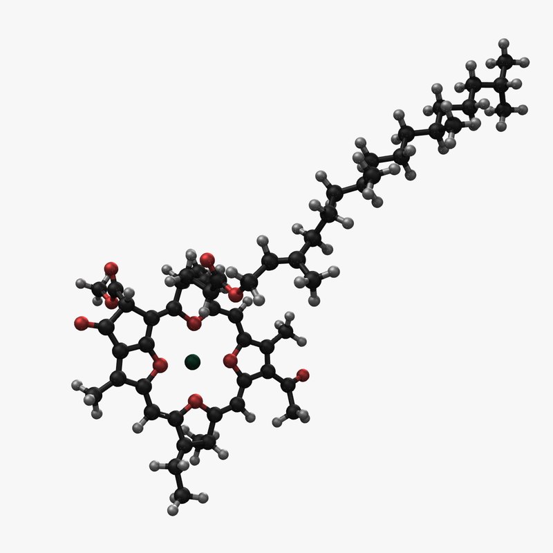 3d structure chlorophyll model