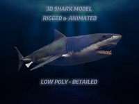 maya great white shark animate
