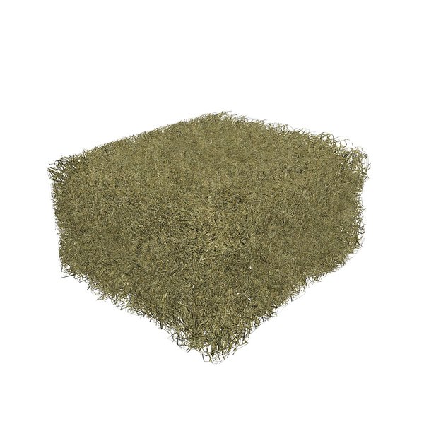 silage block 3d model