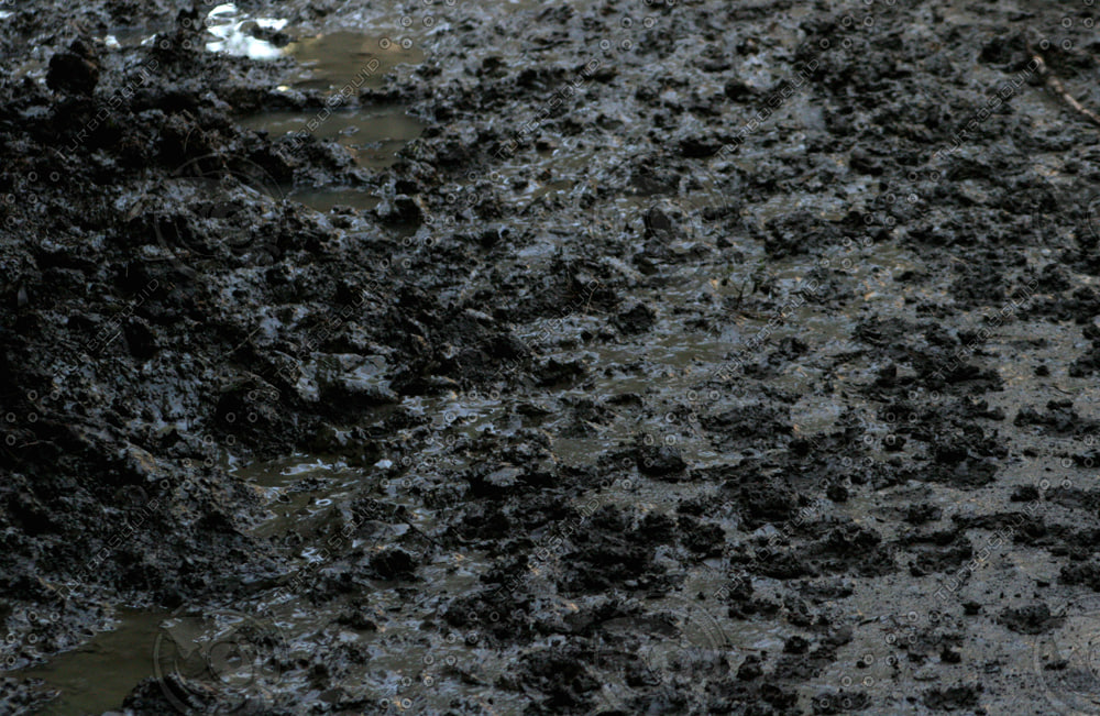 Texture jpg Mud swamp muddy