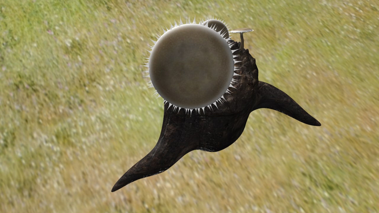 maya fungi imperfecti taxonomic