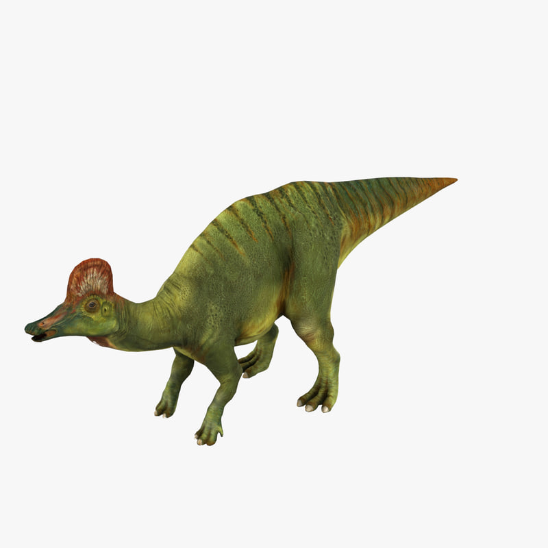hadrosaurus size related keywords