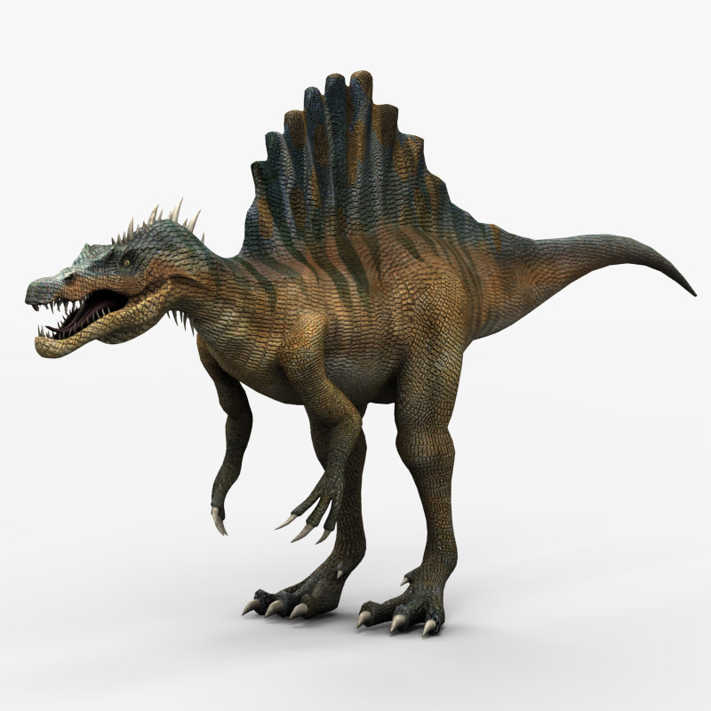 3d spinosaurus dinosaur animation model 3d spinosaurus dinosaur animation model