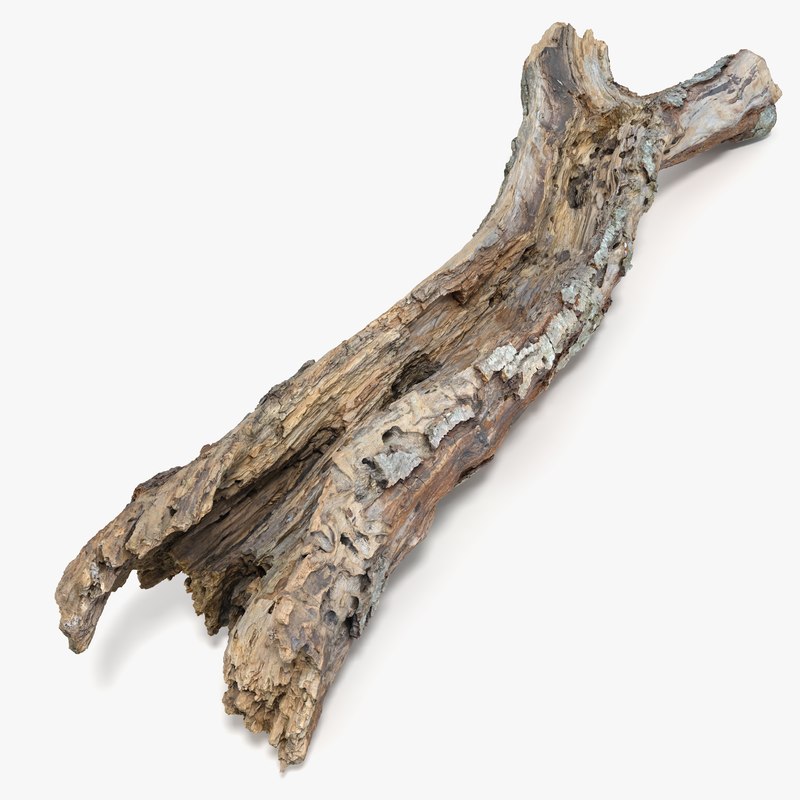 modo tree withered hide obj