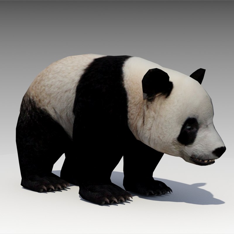3D Max Panda Bear Pandas