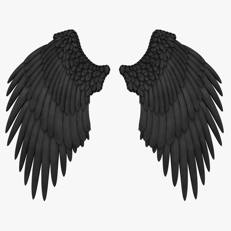 3D max angel wings black