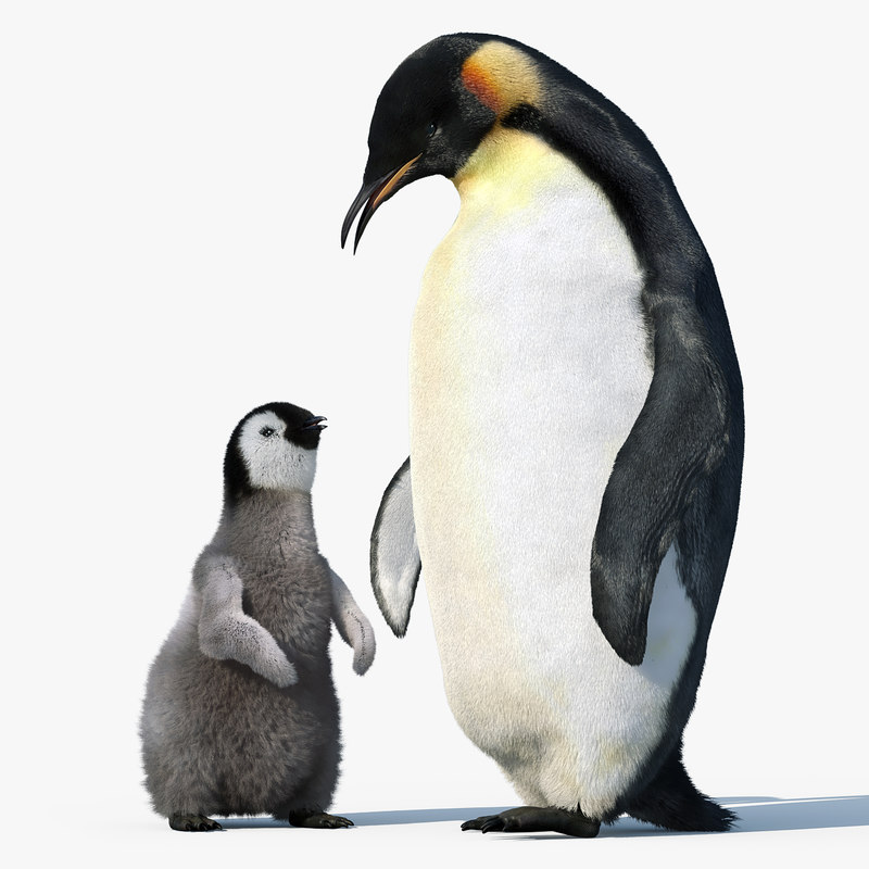 emperor penguin group fur 3d max