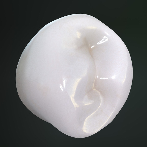 reverse search for: premolar