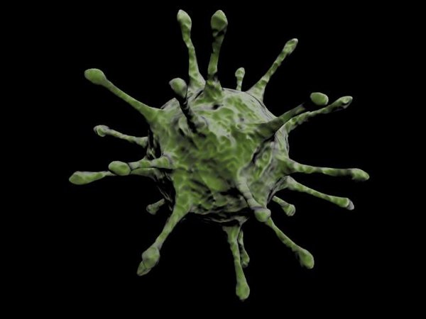 virus model high detailed