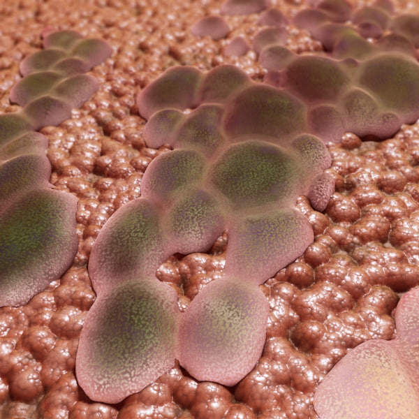 3dsmax organically salivary gland mucous