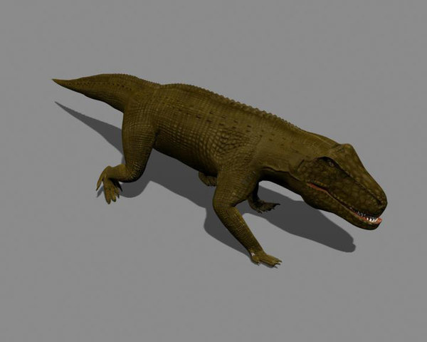 dinosaur archosaur saurosuchus galilei