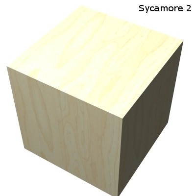 wood - sycamore 2