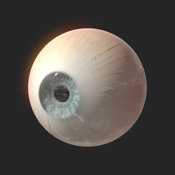 3d eyeball rigged light